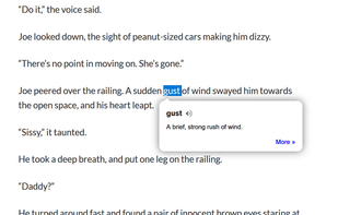 Dictionary Anywhere screenshot 1