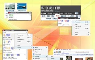 Loqu8 iCE Chinese-English popup translator works over websites