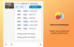 Video DownloadHelper screenshot 2