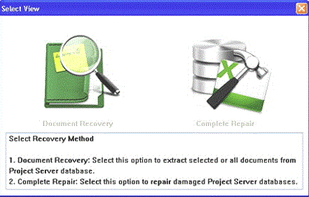 Choose for 'Document recovery' or 'Complete repair'