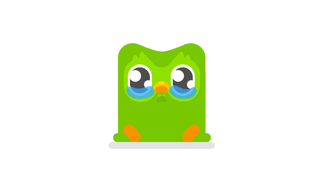 Duolingo's massive data breach: 2.6 Million users' information leaked on hacking forum image
