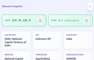 Network Snapshot” panel from What’s My IP Live showing the user’s IPv4 address with supporting details like location (Delhi, India), ISP, region, timezone (Asia/Kolkata), country and organization in clean info cards.