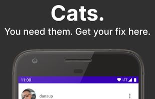 PixelDroid screenshot 2