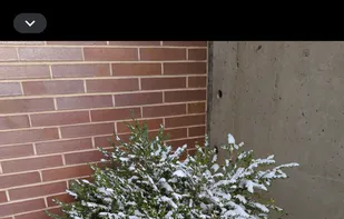 Secure Camera screenshot 1