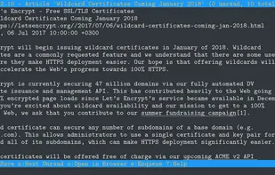 Newsboat screenshot 1