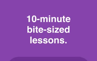 Rosetta Stone screenshot 2