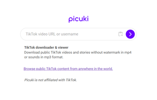 Picuki screenshot