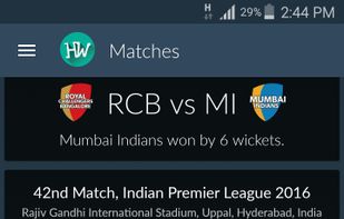HW Cricket screenshot 3