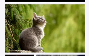 ImageDrain screenshot 3