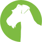 Aireforge Studio icon