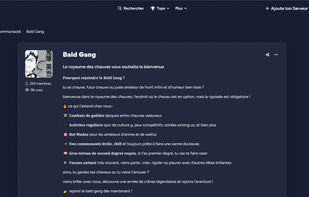 Detail page of a Discord Server
