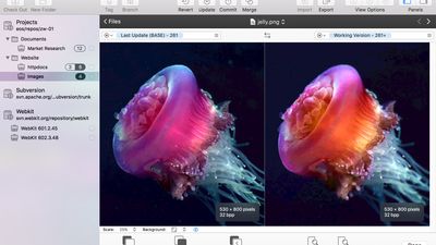 Image Differences