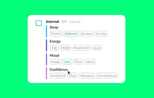 Internal screenshot 3