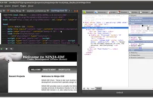 NINJA-IDE screenshot 2