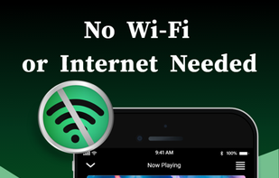 Offline Music Player screenshot 1