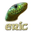 Eric icon