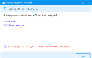 Hasleo BitLocker Anywhere screenshot 1