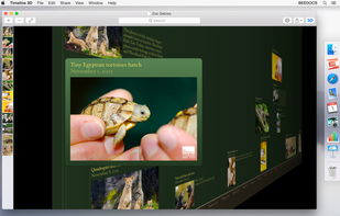 Timeline 3D screenshot 1
