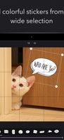 Grids – Giant Square Layout screenshot 2