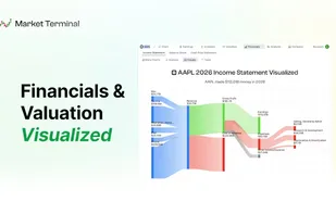 Financials & Valuations Visualized