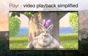 Playr screenshot 1