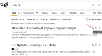 Kagi Translate now offers in-page translation for search results image
