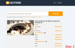 FastFrom.com screenshot 1