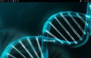 Artix Linux screenshot 1