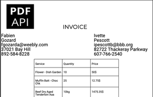 getPDFapi screenshot 1
