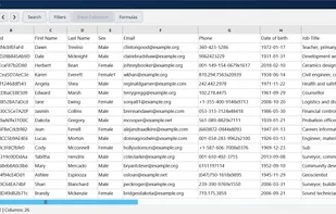 CSVMaster screenshot 1