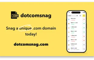 dotcomsnag screenshot 3