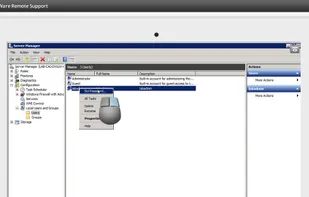 DameWare screenshot 3
