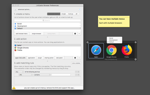 LinCastor Browser screenshot 2