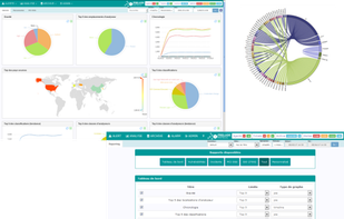 Analysis module offers many features allowing you to work graphically on the data