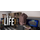 DevLife icon