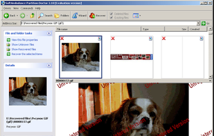 Image preview in unregistered version