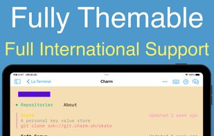 La Terminal screenshot 3