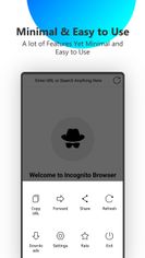 Incognito Browser screenshot 1