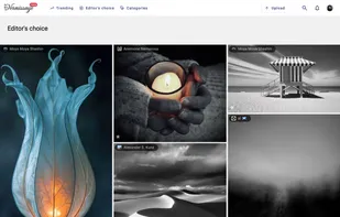 Vernissage screenshot 1