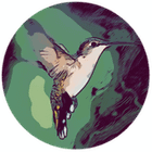 Hummingbird Window Manager icon
