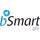 BsmartGIS icon