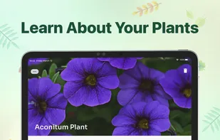 Plant identifier - Find Insect screenshot 3