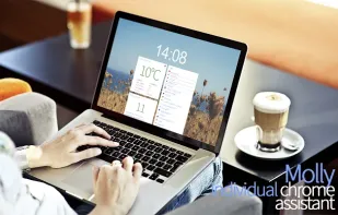 Molly Language Assistant screenshot 1