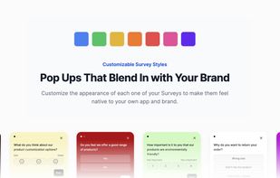 Survser screenshot 2