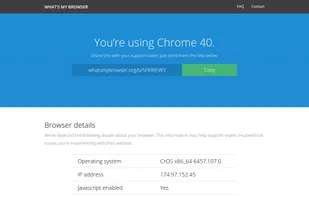 What's My Browser screenshot 1