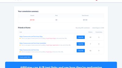 Affiliate dashboard overview