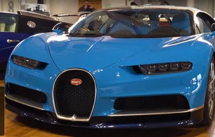 Charitable Exotics screenshot 2