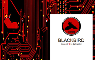 Blackbird OSINT screenshot 2