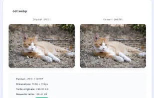 Convertito Jpg to Webp Compression demo