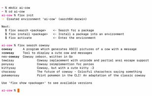 Flox.dev screenshot 1